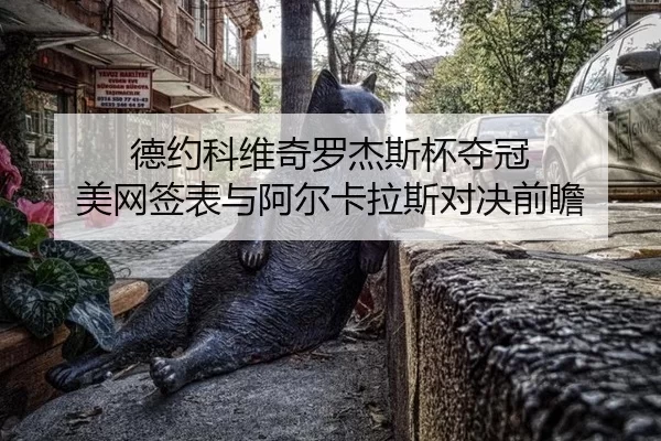 de-yue-ke-wei-qi-luo-jie-si-bei-duo-guan-mei-wang-qian-biao-yu-a-er-ka-la-si-dui-jue-qian-zhan-3-994.jpg