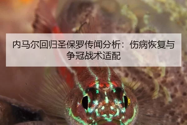 nei-ma-er-hui-gui-sheng-bao-luo-chuan-wen-fen-xi-shang-bing-hui-fu-yu-zheng-guan-zhan-shu-shi-pei-2-395.jpg